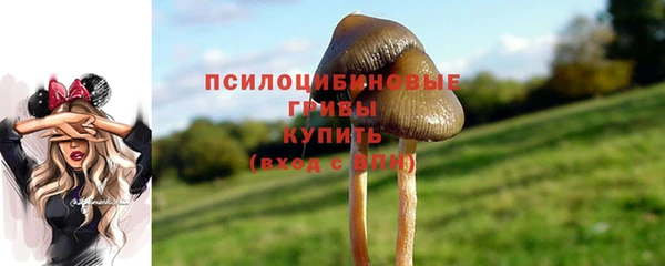 mix Алексеевка