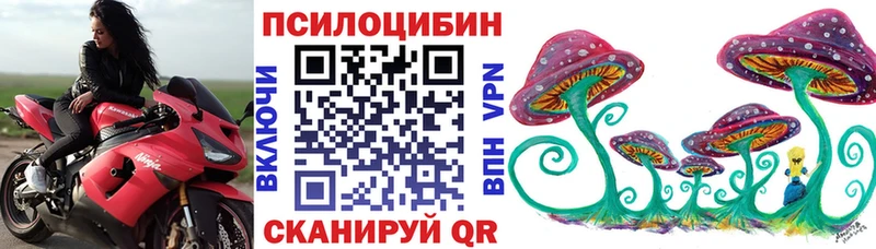 Галлюциногенные грибы Cubensis  купить   Кохма 