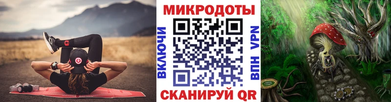 Псилоцибиновые грибы мицелий Кохма