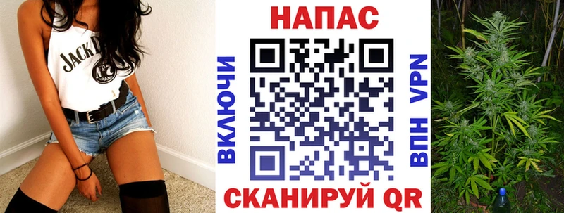 Конопля SATIVA & INDICA  Кохма 
